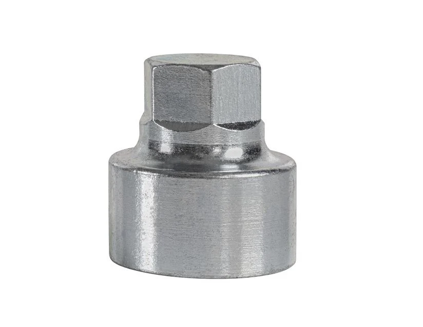 Miniatura 23